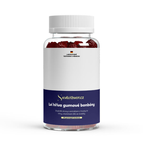 Lví hříva + Vitamín B6 Bonbóny - 60 bonbónů